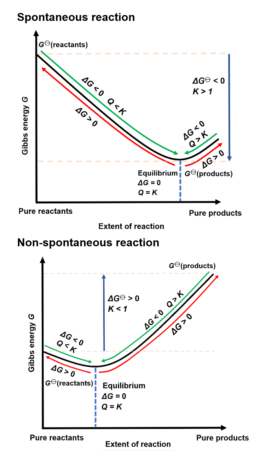 Gibbs Free Energy vs Reaction Progress