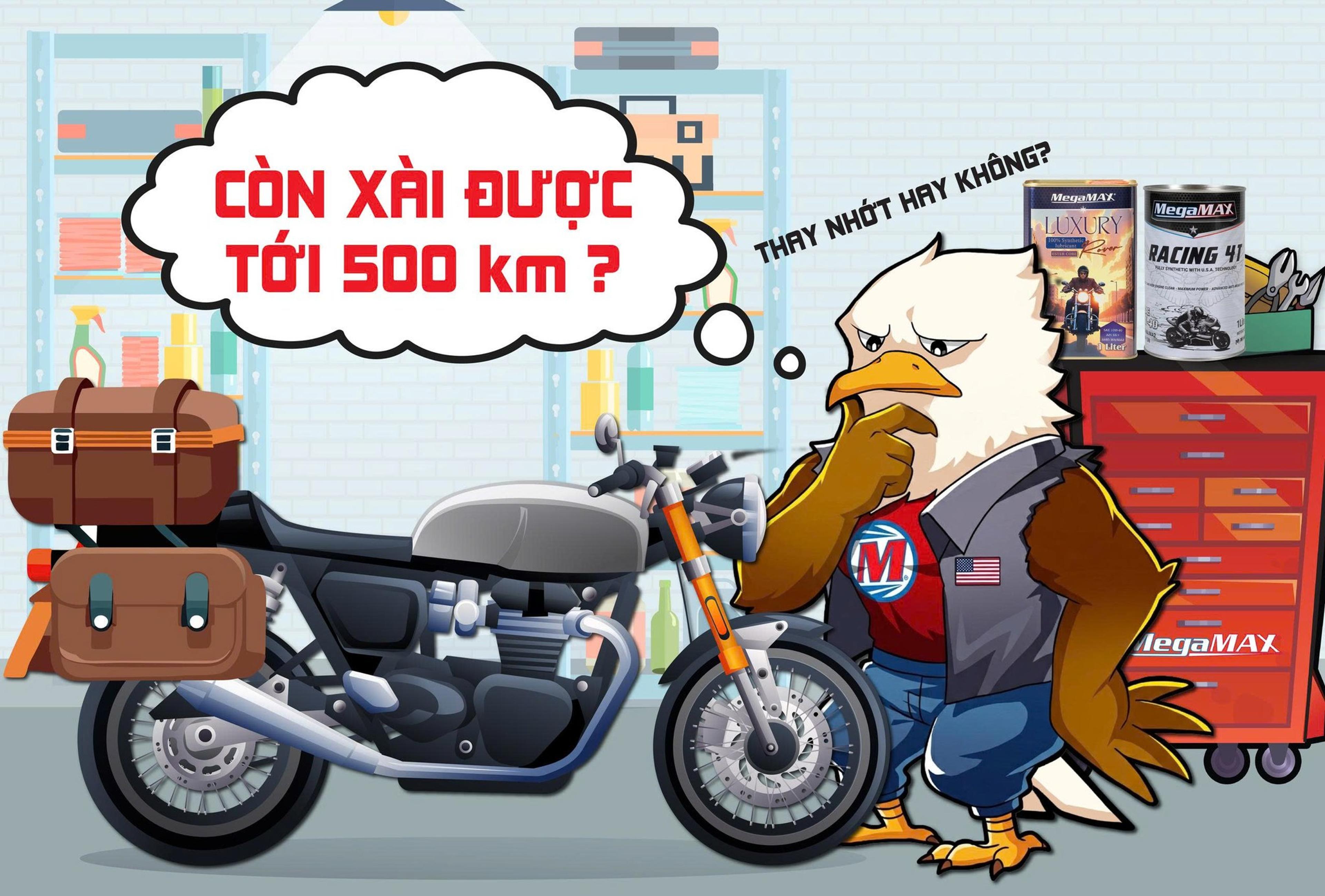 Xe số, xe côn tay hay xe tay ga — bao lâu cần thay nhớt một lần cho đúng?