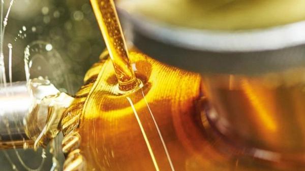 Cách thăm nhớt xe ô tô cho chuyến hành trình du lịch sắp tới của bạn
