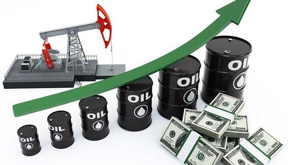 Thông báo tăng giá dầu nhớt thương hiệu REPSOL
