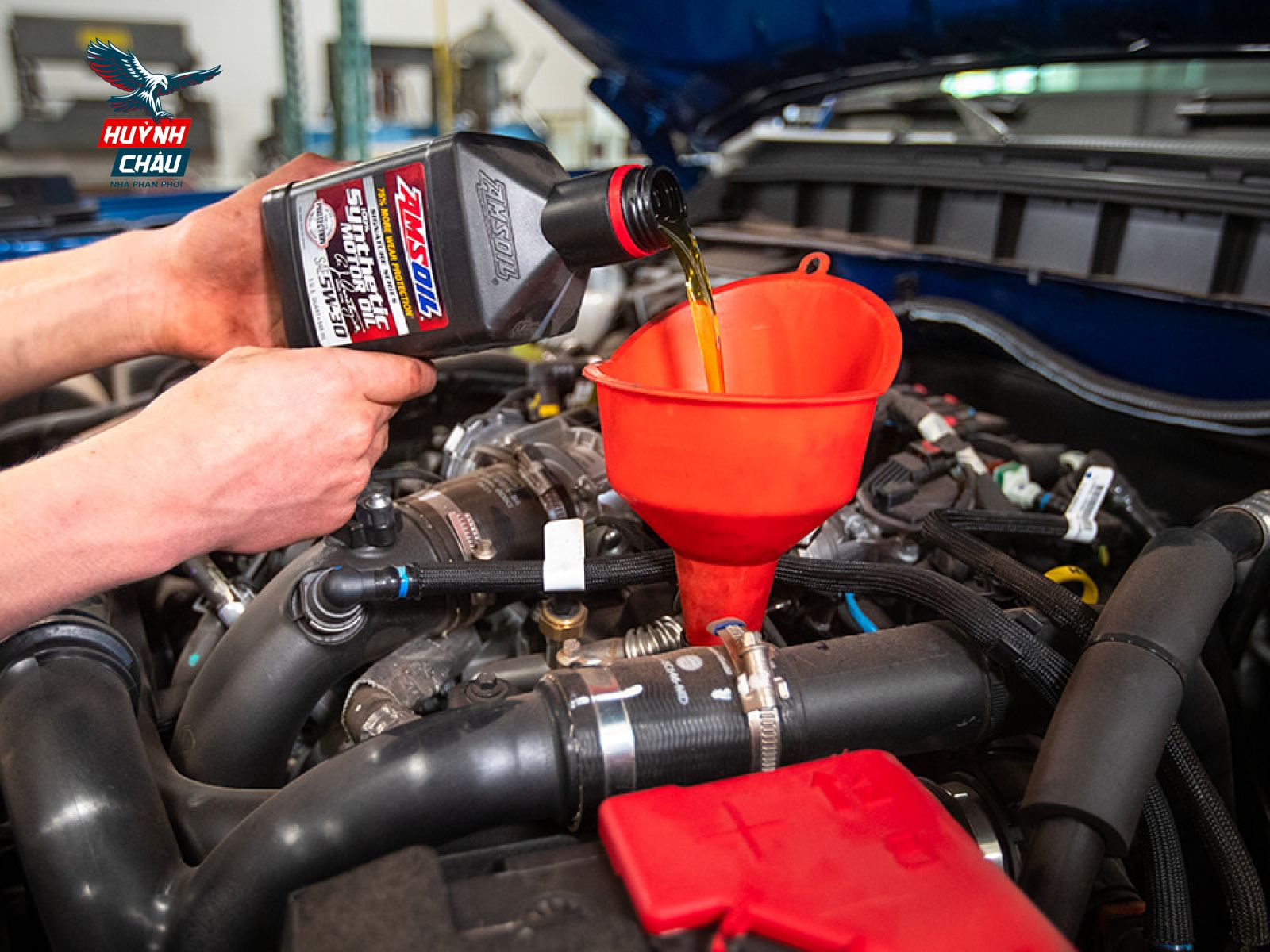 Tổng Hợp Các Loại Nhớt Xe Hơi Amsoil Cho Từng Loại Xe
