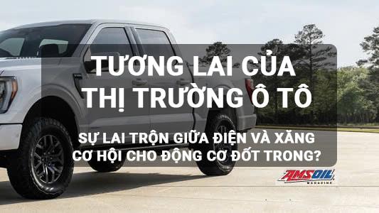 Tương Lai Thị Trường Ô Tô Điện, Xăng Và Xe Hybrid