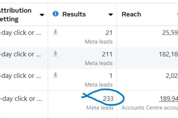 232 qualified leads from Meta ads for Valli Mayil Properties.jpg