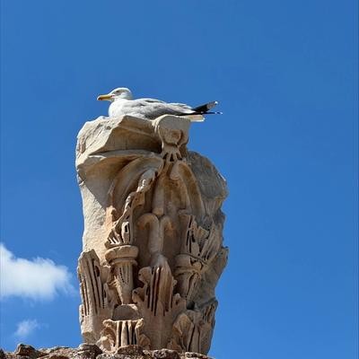 CERTAMEN CICERONIANUM ARPINAS. (07. - 12.05.2025) — photo 6