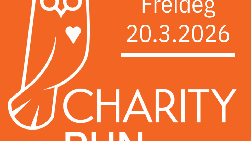 ONG: CHARITY RUN 2026