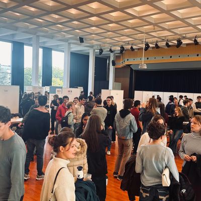 MATINÉE D'ORIENTATION PROFESSIONNELLE — photo 1