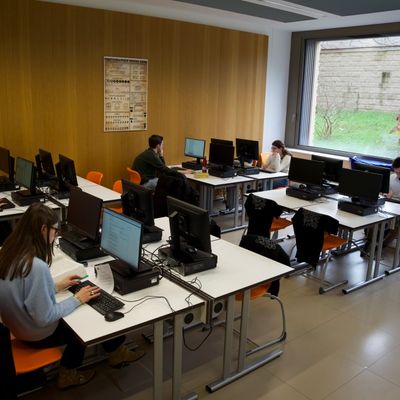 EPAS: JUVENES TRANSLATORES 2025 — photo 1