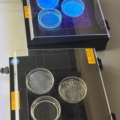 THE 1IB AT THE SCIENTEENS LAB IN BELVAL — photo 7