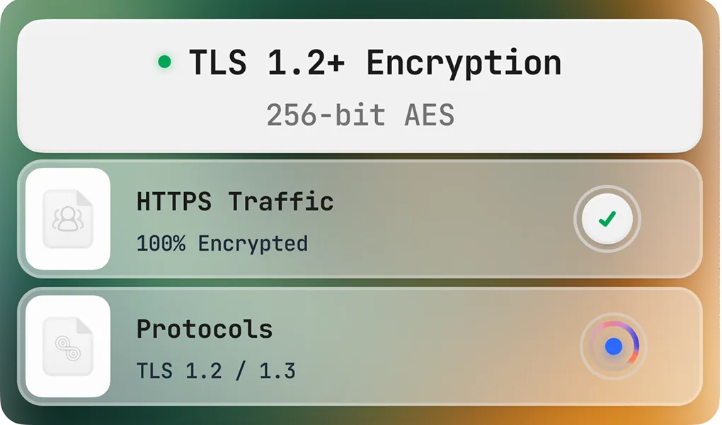 TLS 1.2+ Encryption
