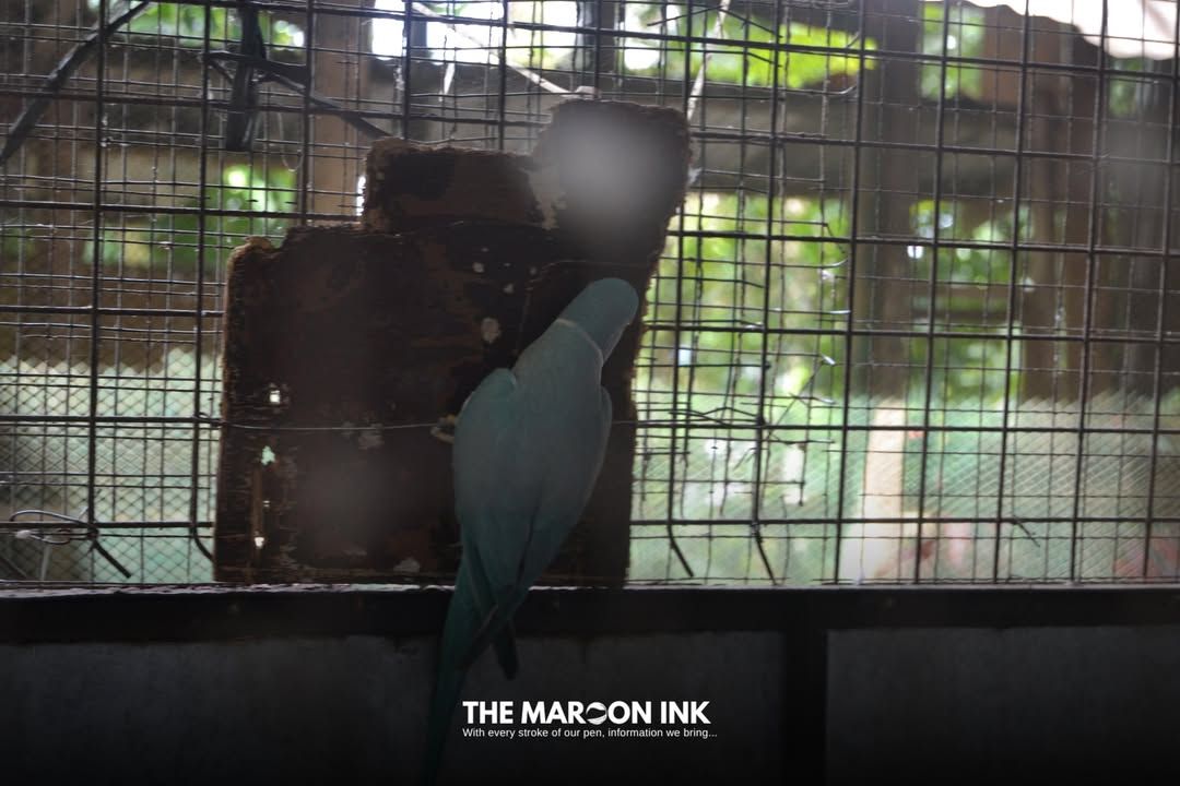 LEADERSHAPE | On September 30, 2024, UM Ilang High School sent selected...