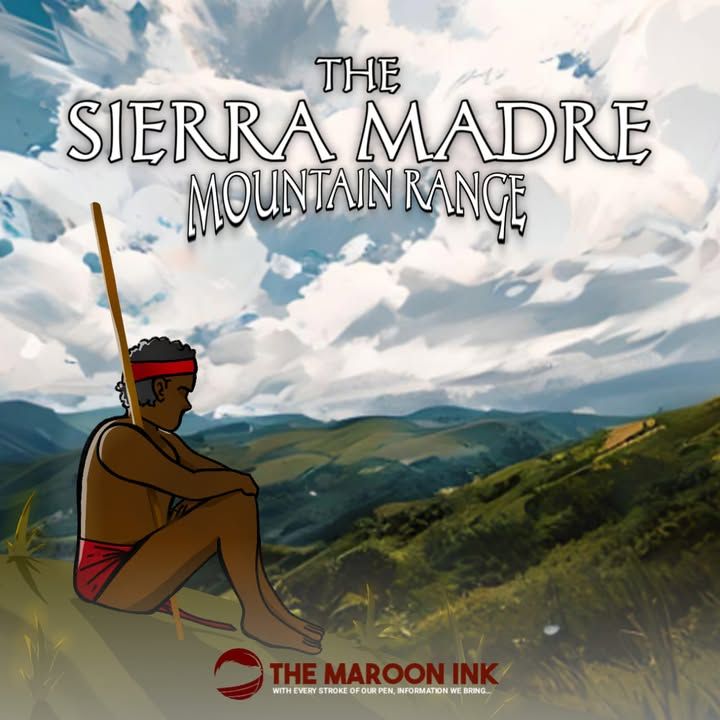 TRIVIA | A Resilient Fortress