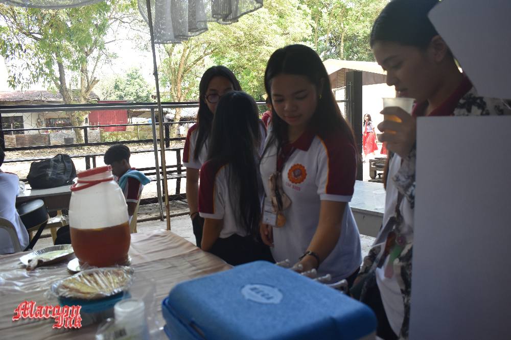 ENTREP DAY 2025 | Booming Businesses!