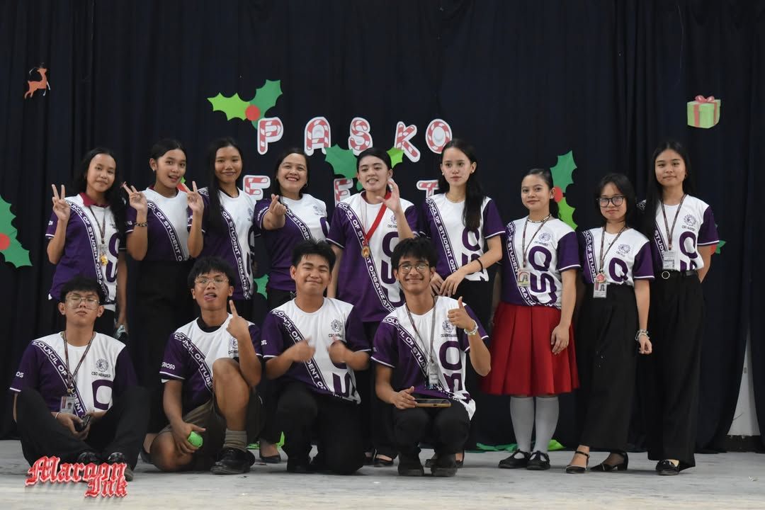 Christmas Fest | Dazzling Holiday Season!