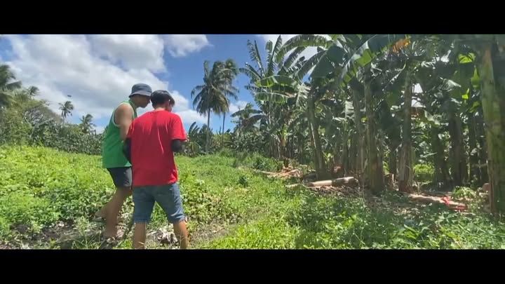 21st CENTURY LITERATURE | My Brother's Peculiar Chicken by Alejandro Roc...