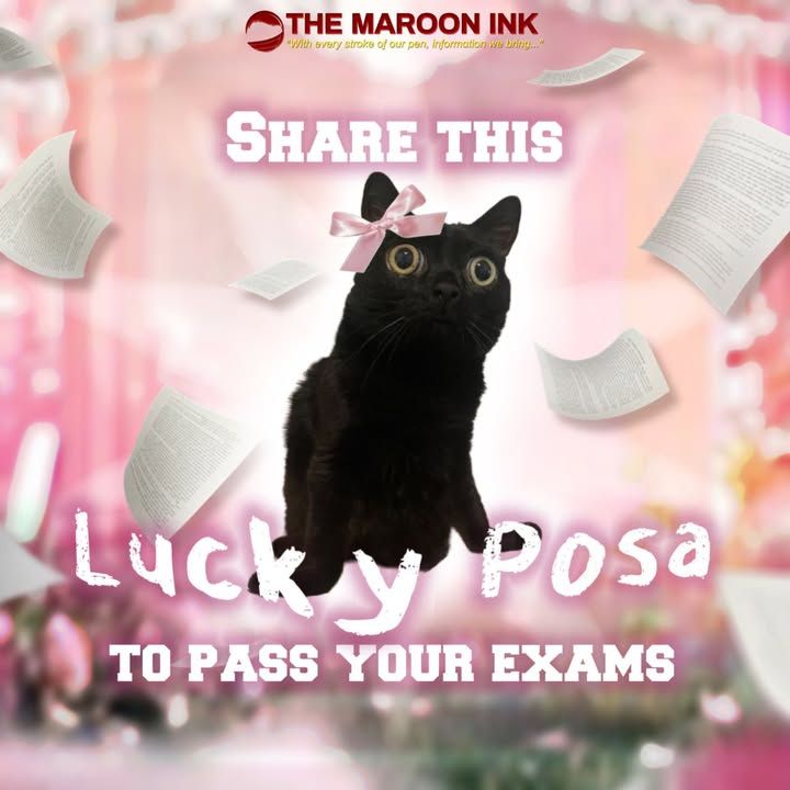 SHARE THIS Lucky Posa, TO PASS YOUR EXAMS! 
