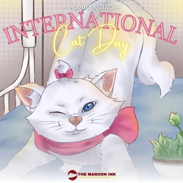 INTERNATIONAL CAT DAY | Psspsspss... Ali mingming!