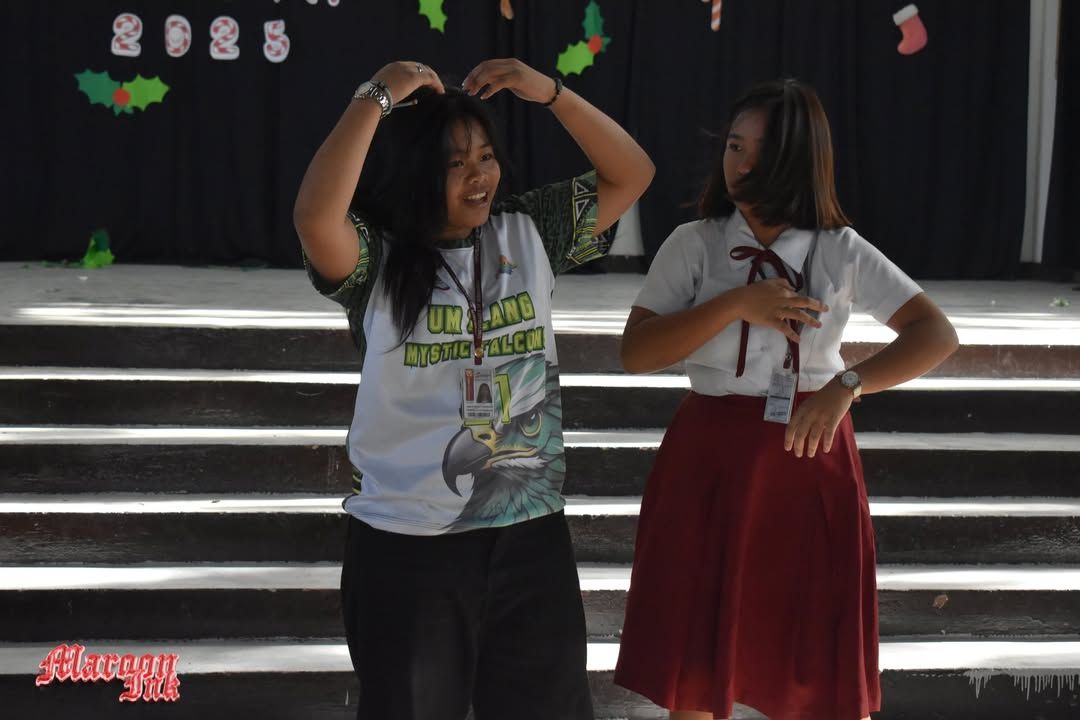 Christmas Fest | Dazzling Holiday Season!