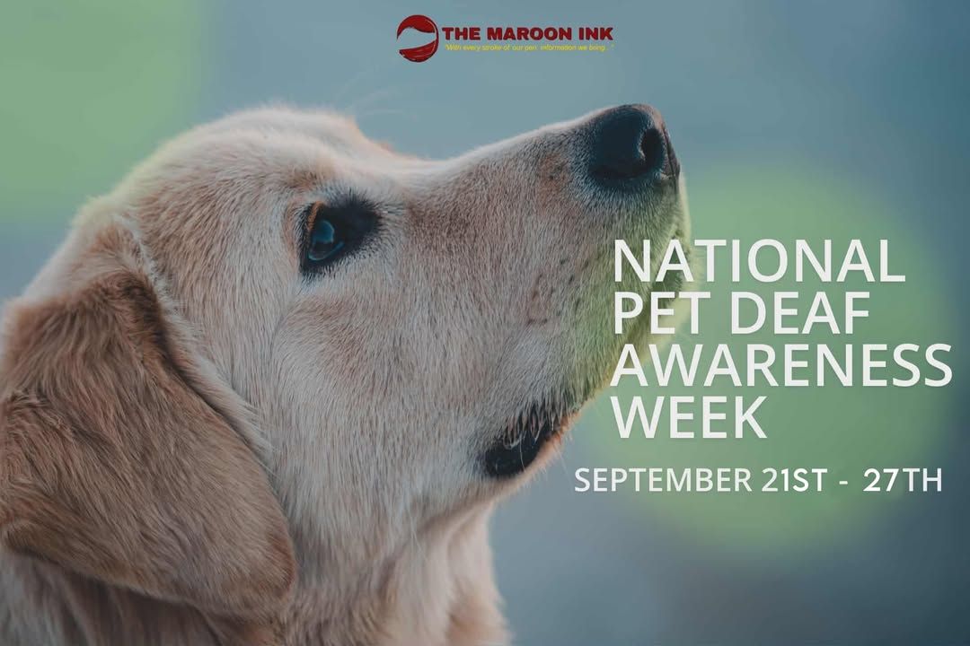 National Pet Deaf Awareness | Not all love is heardsome of it is simply...