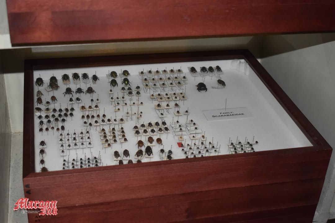 CAMPUS TOUR 2025 | UM Ilang Students Enjoy Exclusive Campus Tour at UM M...