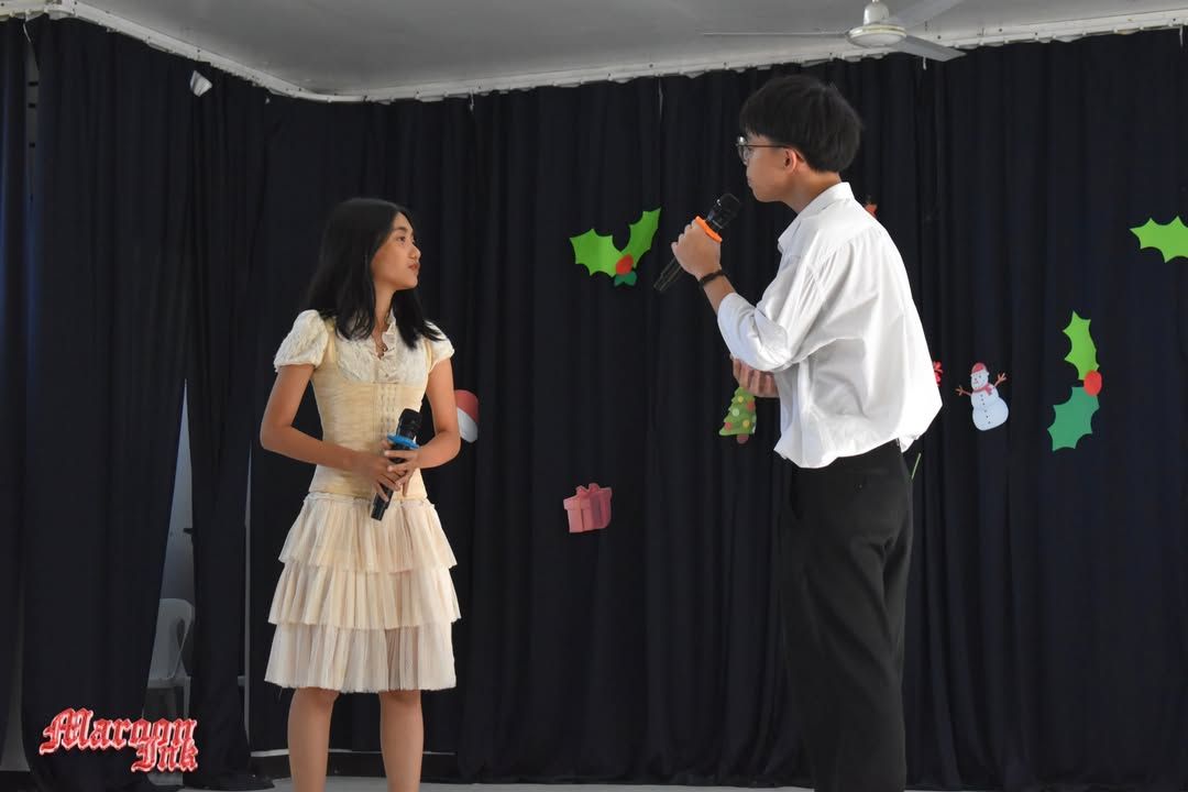 Christmas Fest | Dazzling Holiday Season!