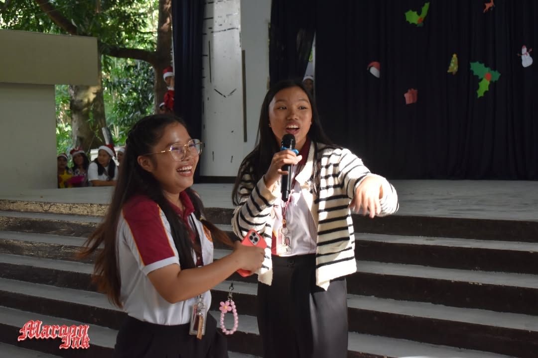 Christmas Fest | Dazzling Holiday Season!