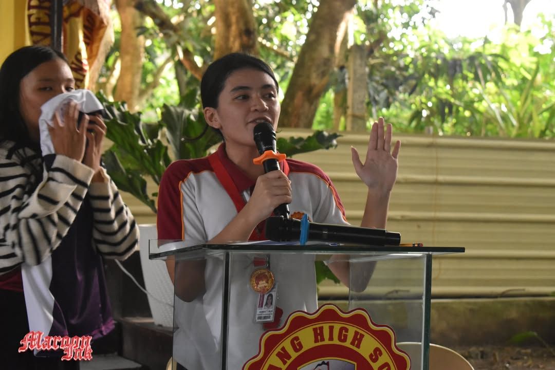 Christmas Fest | Dazzling Holiday Season!