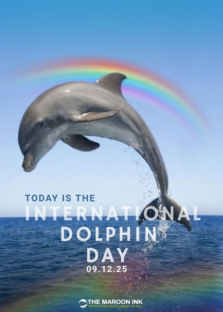 International Dolphin Day | I just wanna be part of your symphony