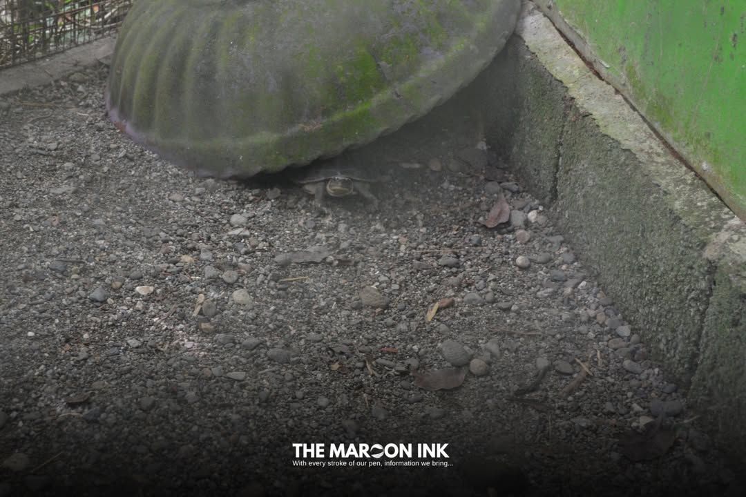 LEADERSHAPE | On September 30, 2024, UM Ilang High School sent selected...