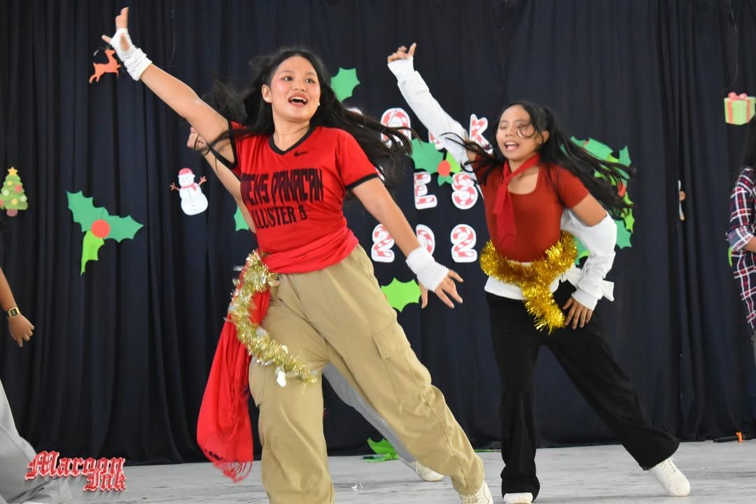 Christmas Fest | Dazzling Holiday Season!