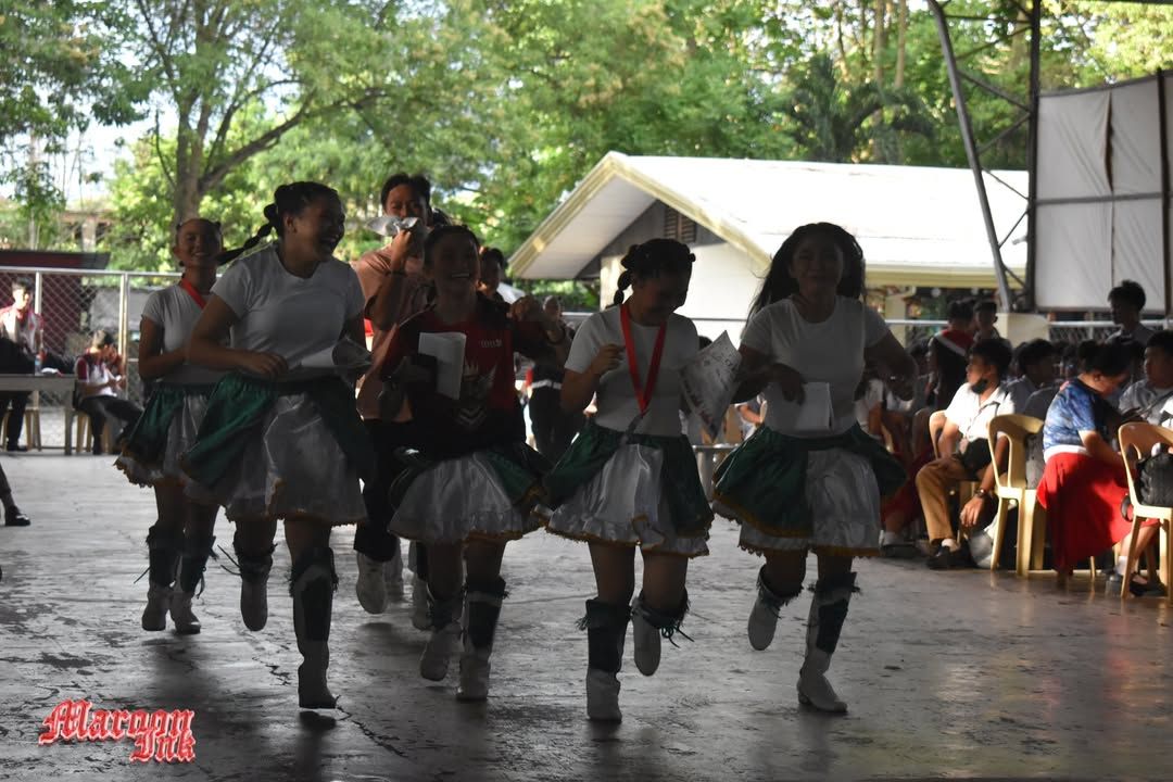 Christmas Fest | Dazzling Holiday Season!