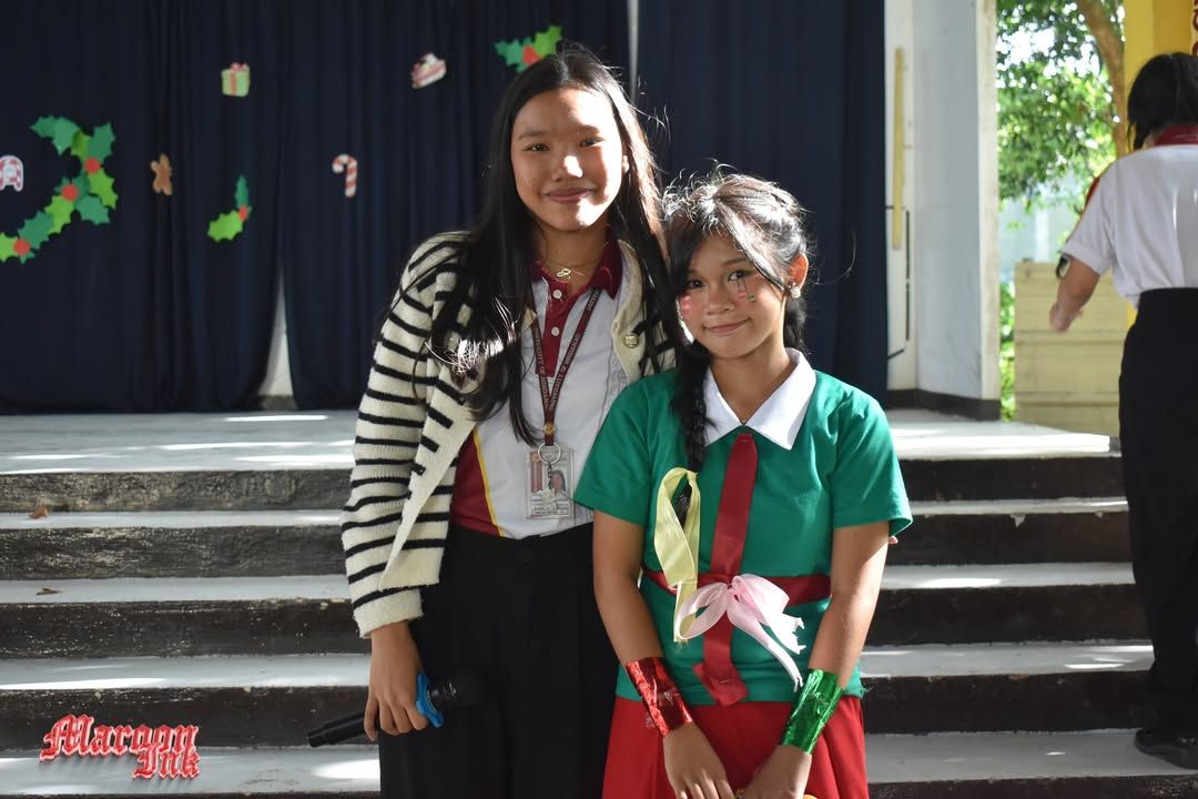 Christmas Fest | Dazzling Holiday Season!