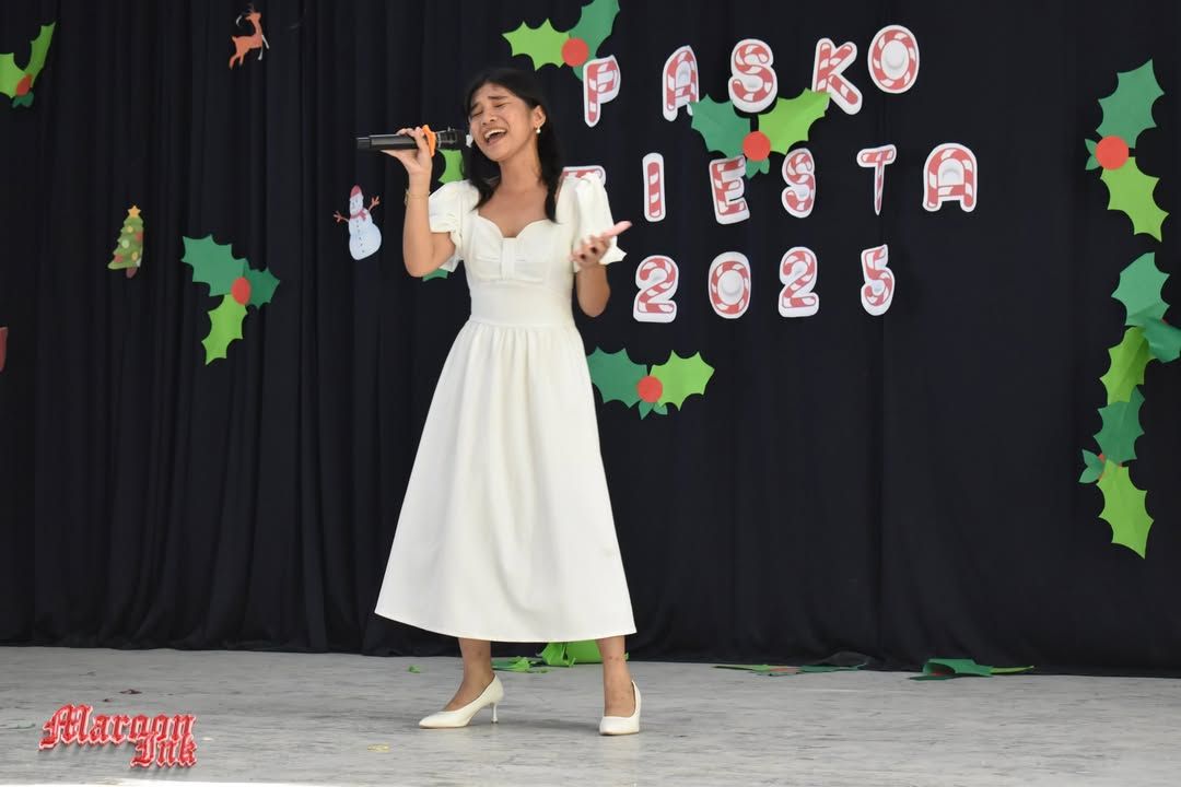 Christmas Fest | Dazzling Holiday Season!