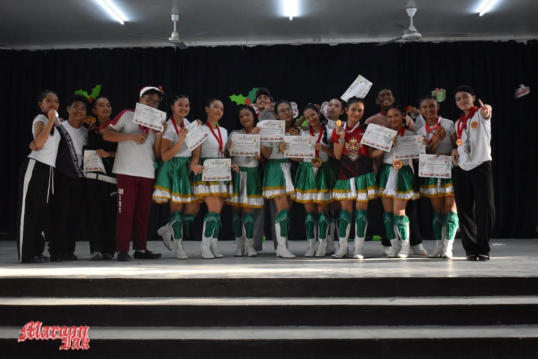 Christmas Fest | Dazzling Holiday Season!