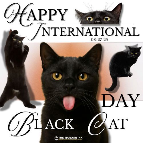 HAPPY INTERNATIONAL BLACK CAT DAY!