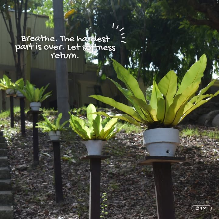 Do you still remember the tune?