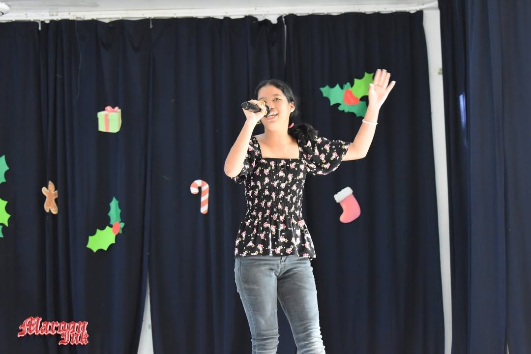 Christmas Fest | Dazzling Holiday Season!