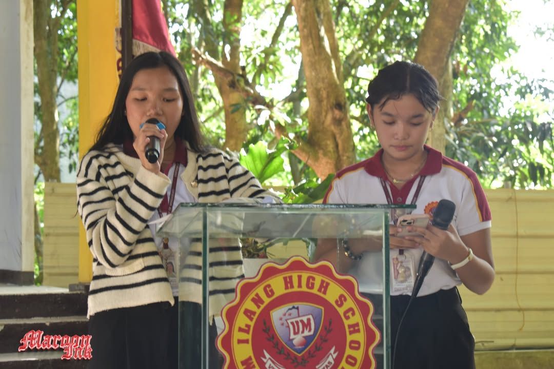 Christmas Fest | Dazzling Holiday Season!