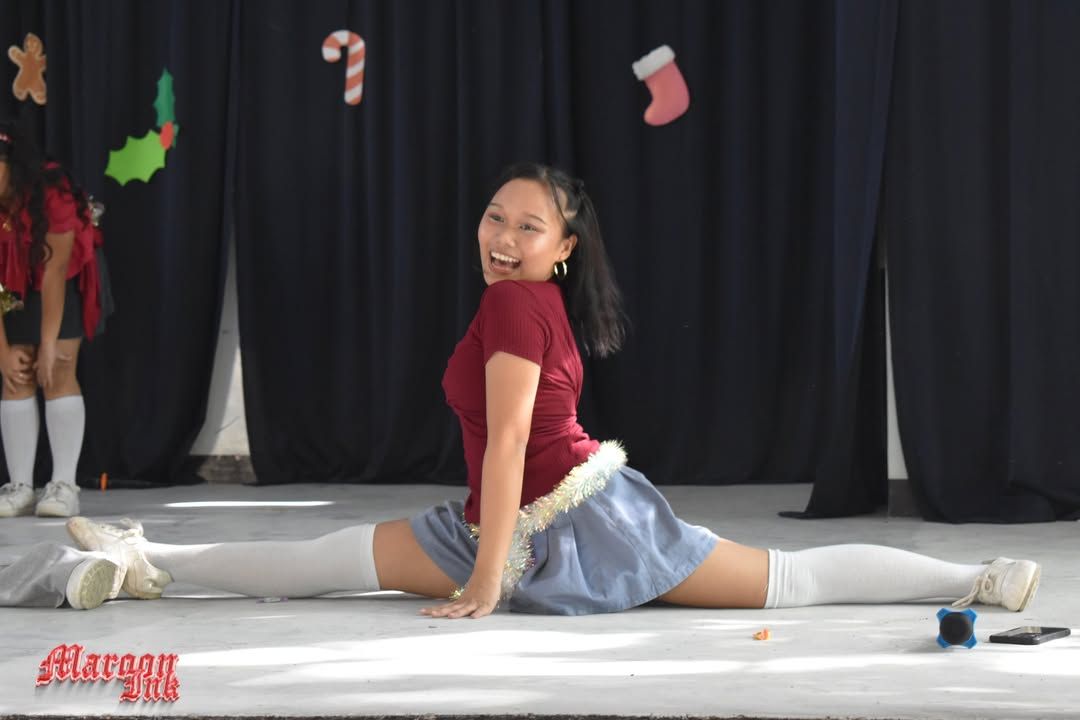 Christmas Fest | Dazzling Holiday Season!