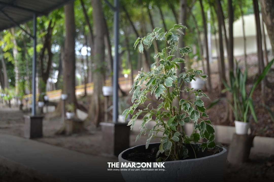 LEADERSHAPE | On September 30, 2024, UM Ilang High School sent selected...