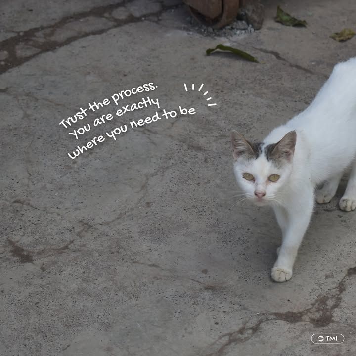 Do you still remember the tune? 