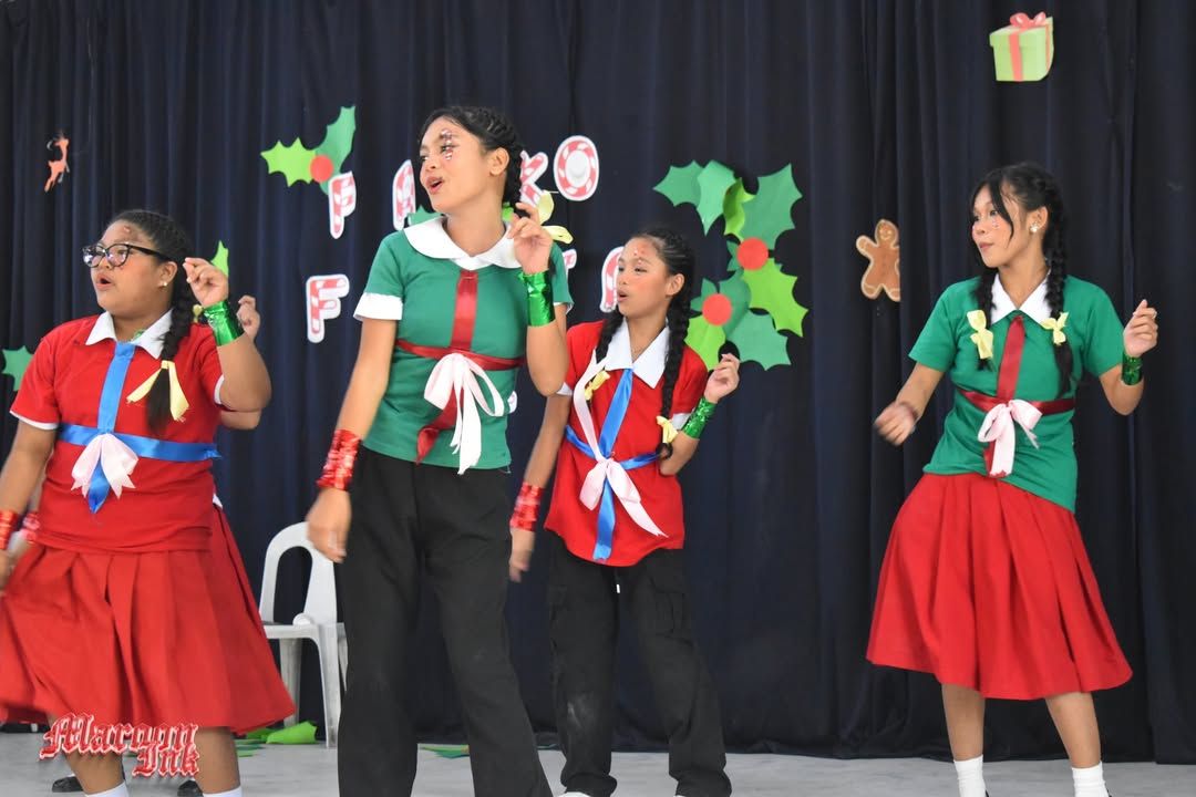 Christmas Fest | Dazzling Holiday Season!