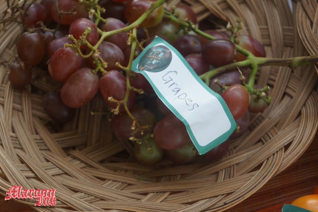 NUTRITION MONTH 2025 | On July 31, 2025, UM Ilang High School held the N...