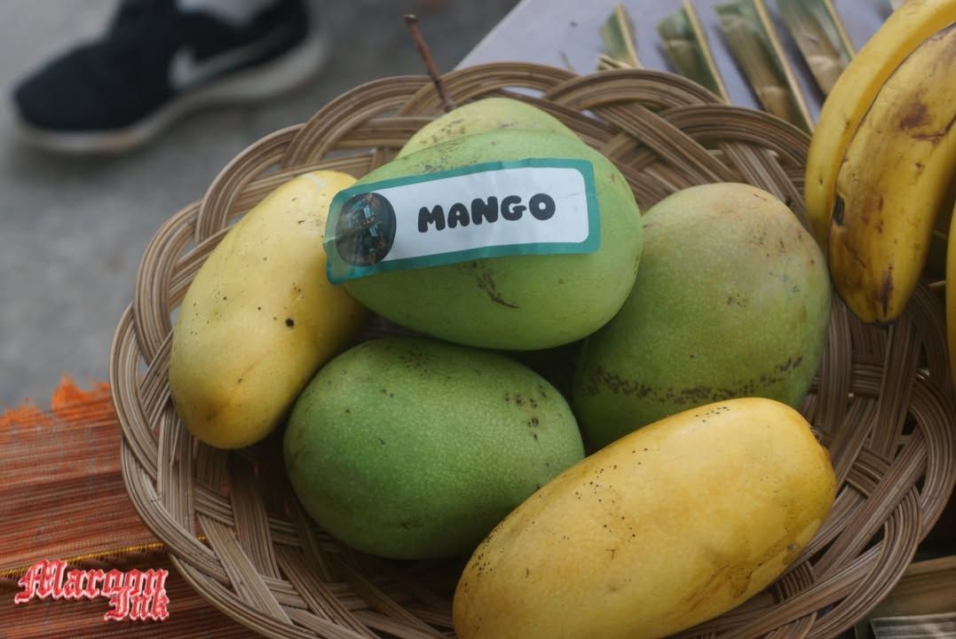 NUTRITION MONTH 2025 | On July 31, 2025, UM Ilang High School held the N...