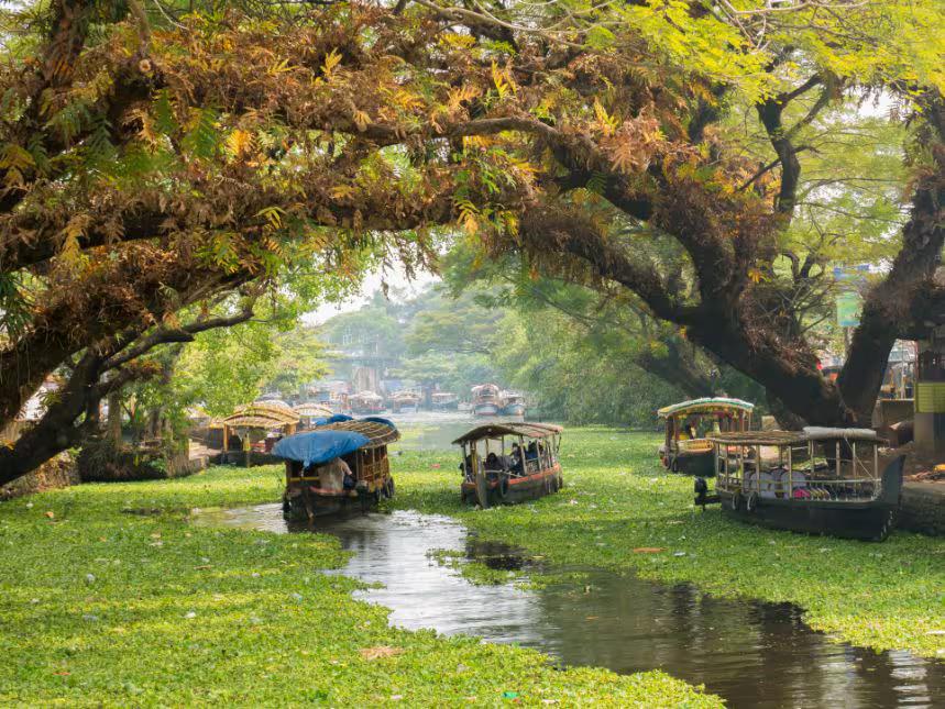 Speedboat tour on Punnamada Lake