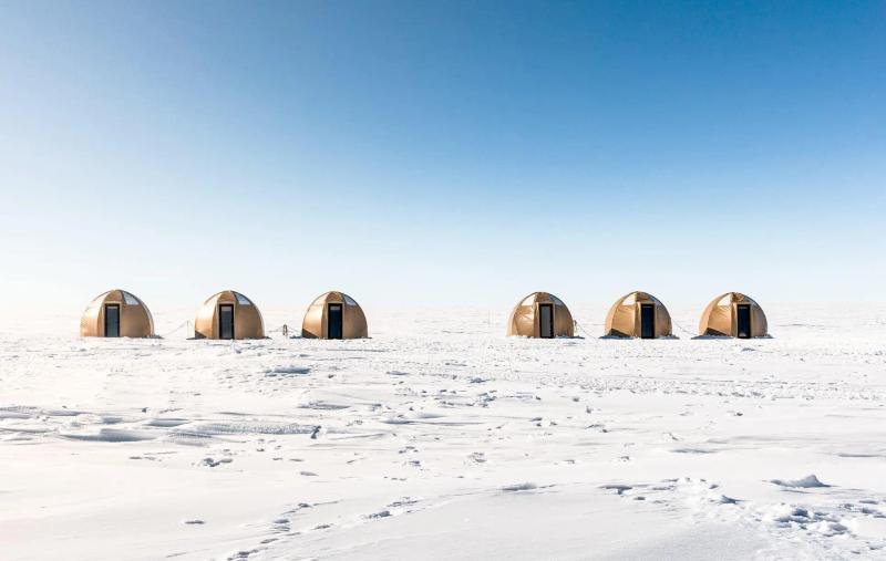 South Pole & Penguins