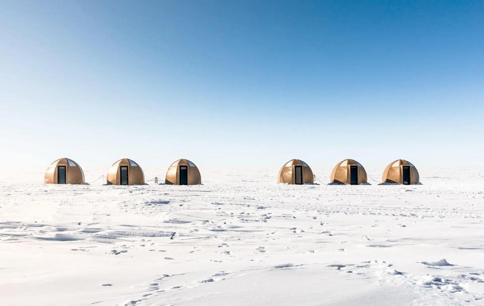 South Pole & Penguins