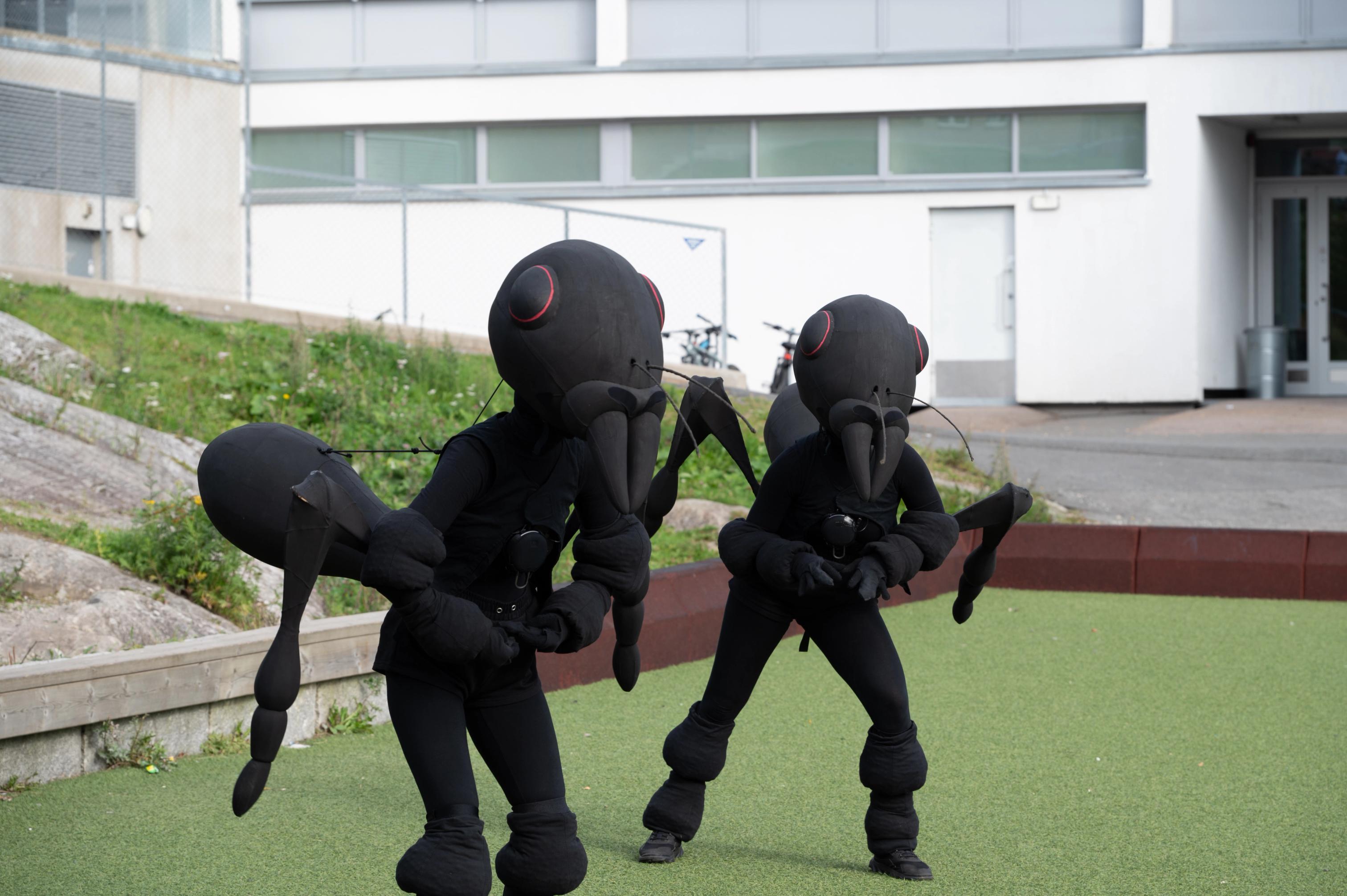 Foto: Marte Glanville