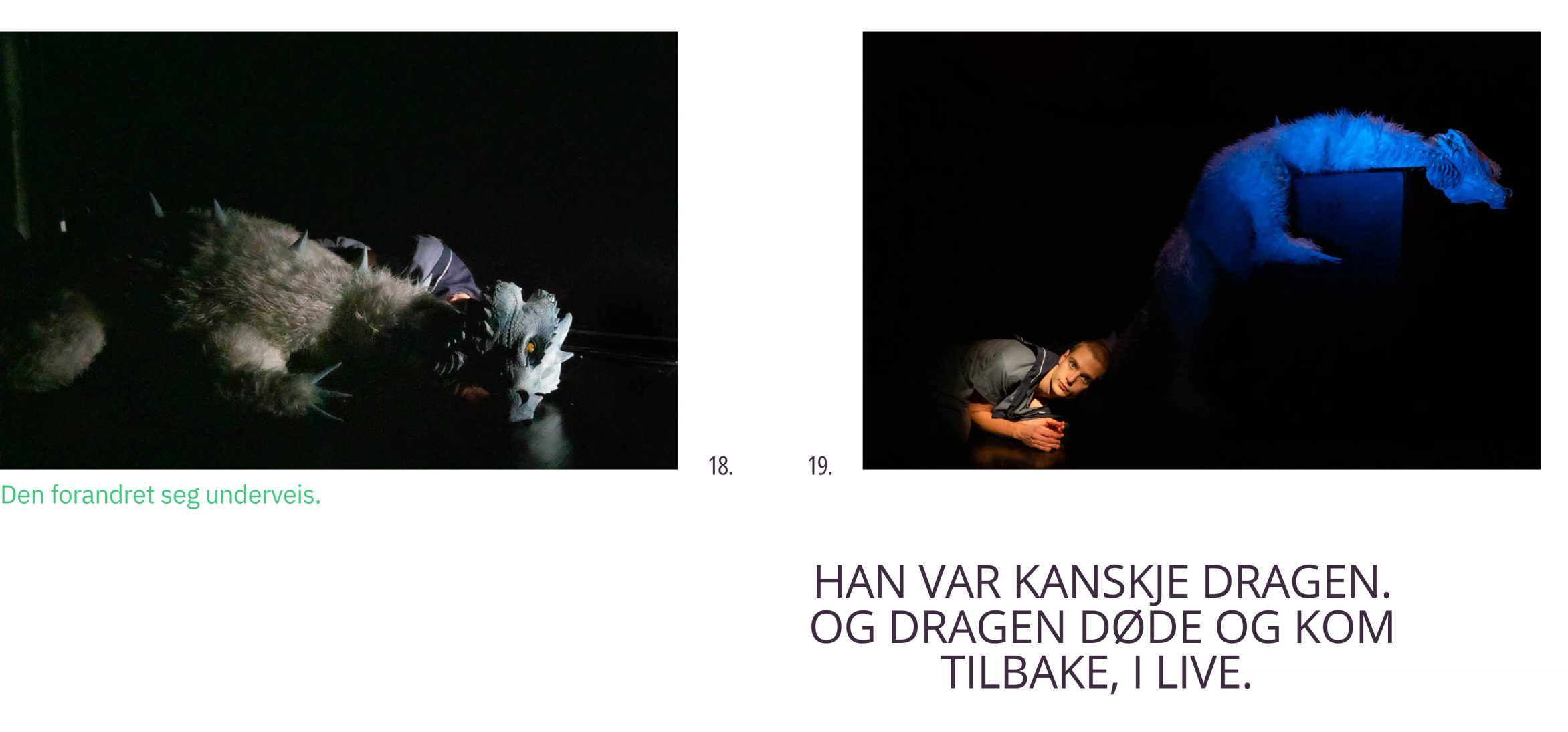 Bilde av en side i boka, bilde av en person og en drage - sitat fra et barn"Han var kanskje dragen- og dragen døde og kom tilbake, i live "