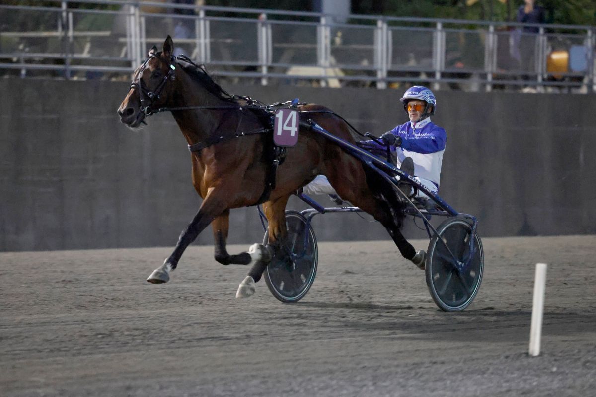 Fighter Kronos med Vidar Hop i sulkyen på Momarken