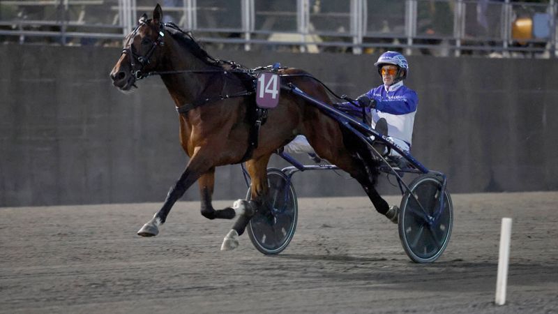 Fighter Kronos med Vidar Hop i sulkyen på Momarken
